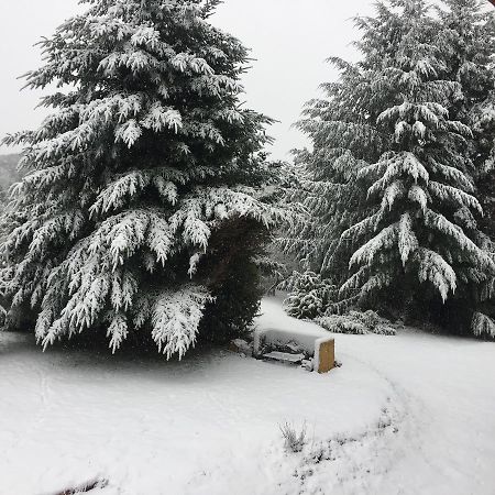 Terrazas Del Lopez Villa Bariloche Buitenkant foto
